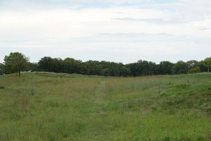 ArborLinks 10th